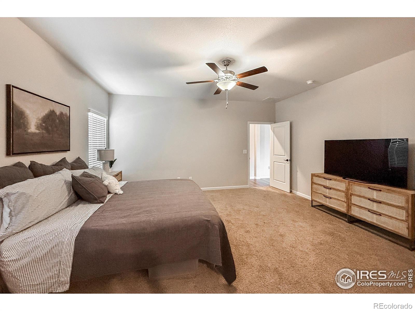 MLS Image #22 for 14817  longhorn drive,mead, Colorado
