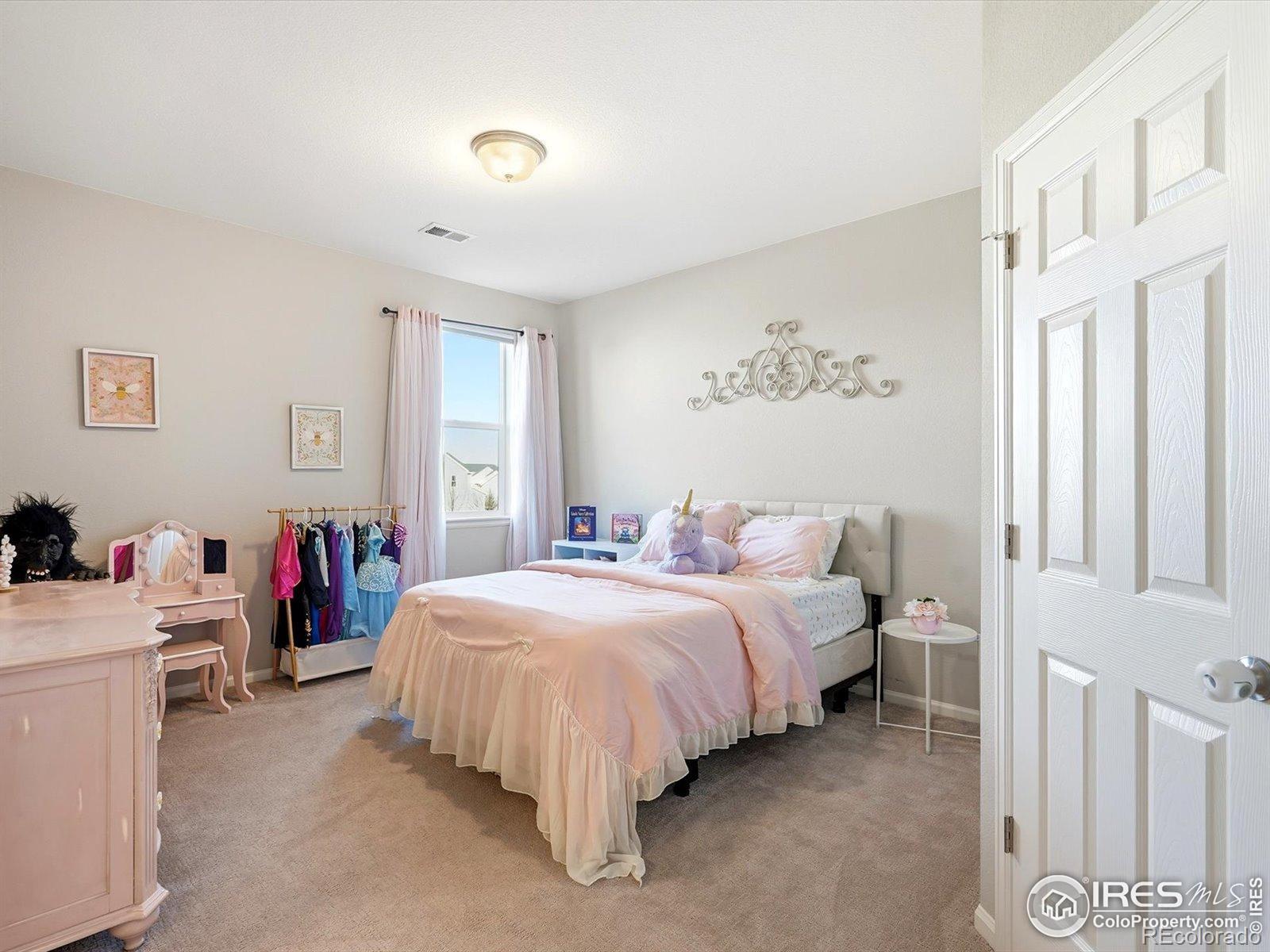MLS Image #19 for 6308  nanita court,timnath, Colorado