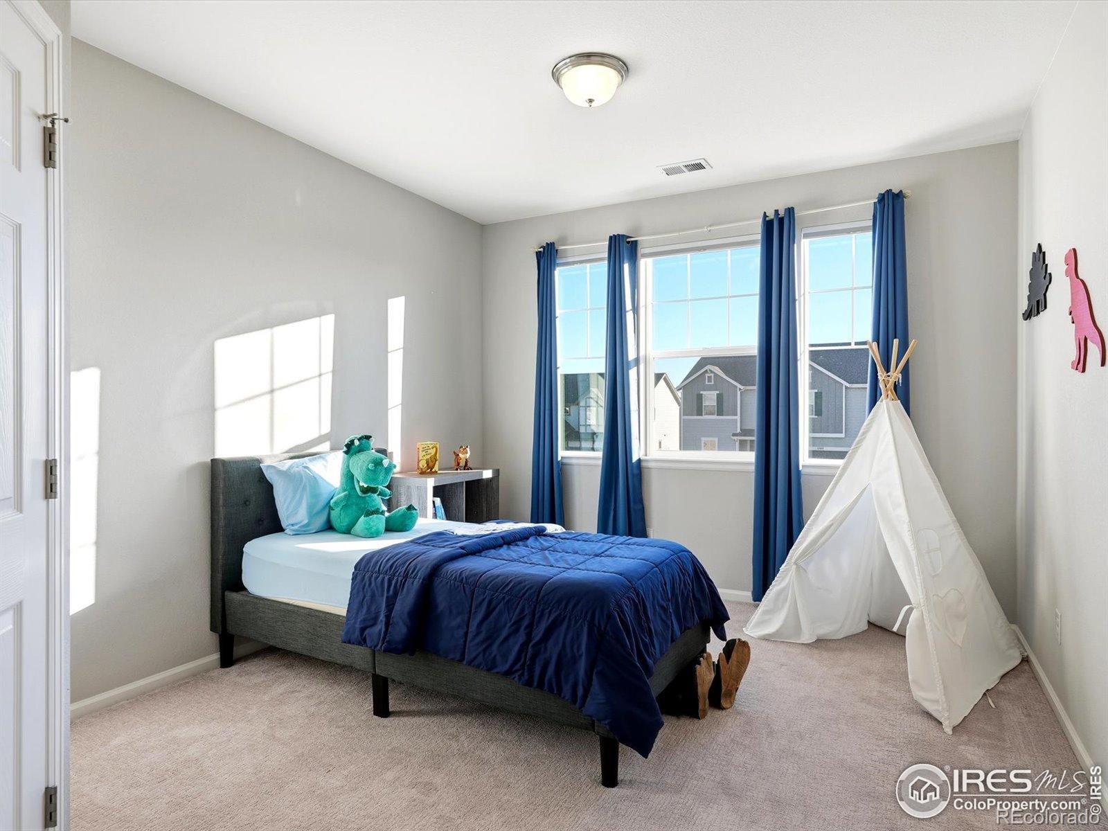 MLS Image #21 for 6308  nanita court,timnath, Colorado