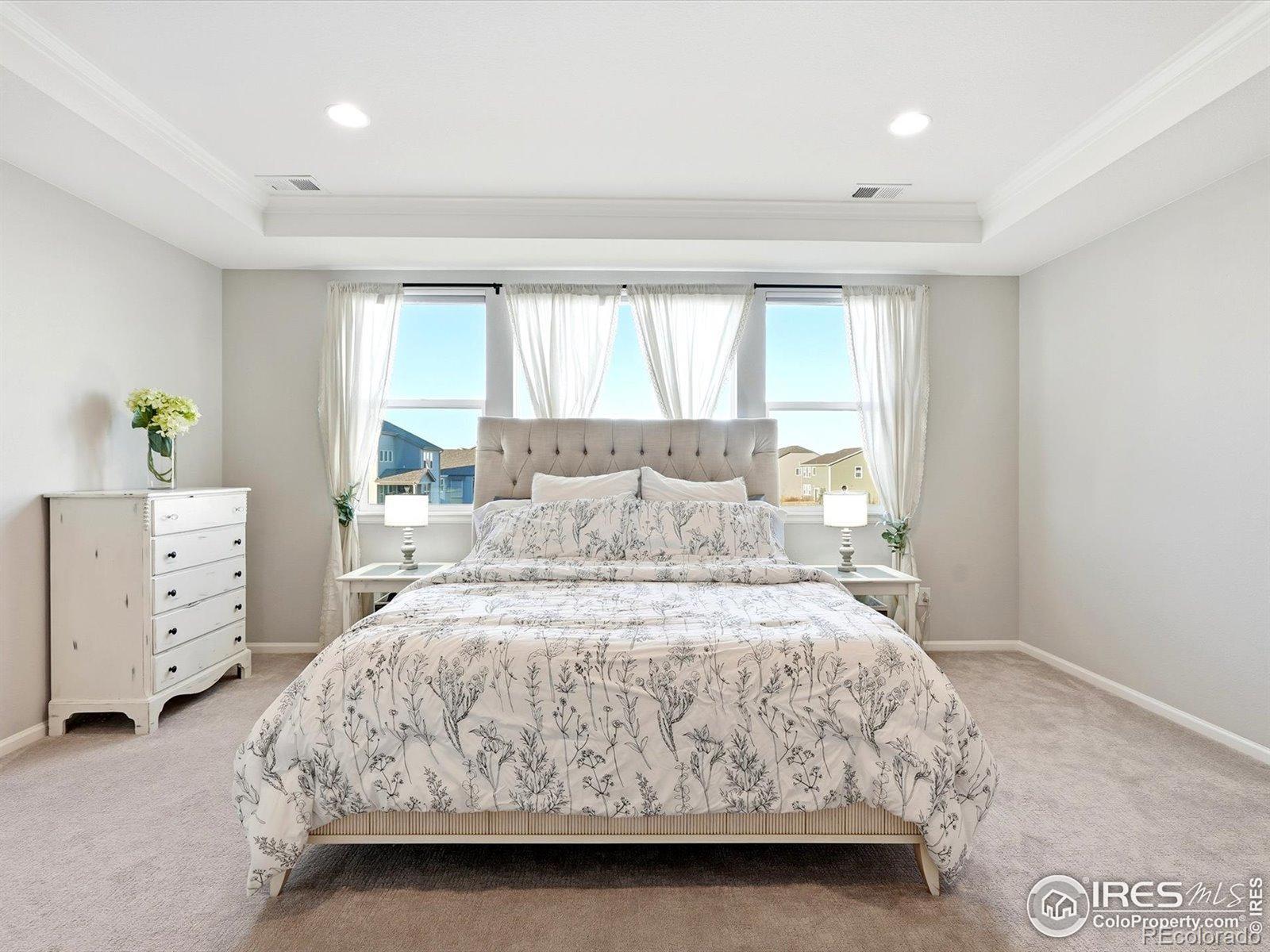 MLS Image #27 for 6308  nanita court,timnath, Colorado