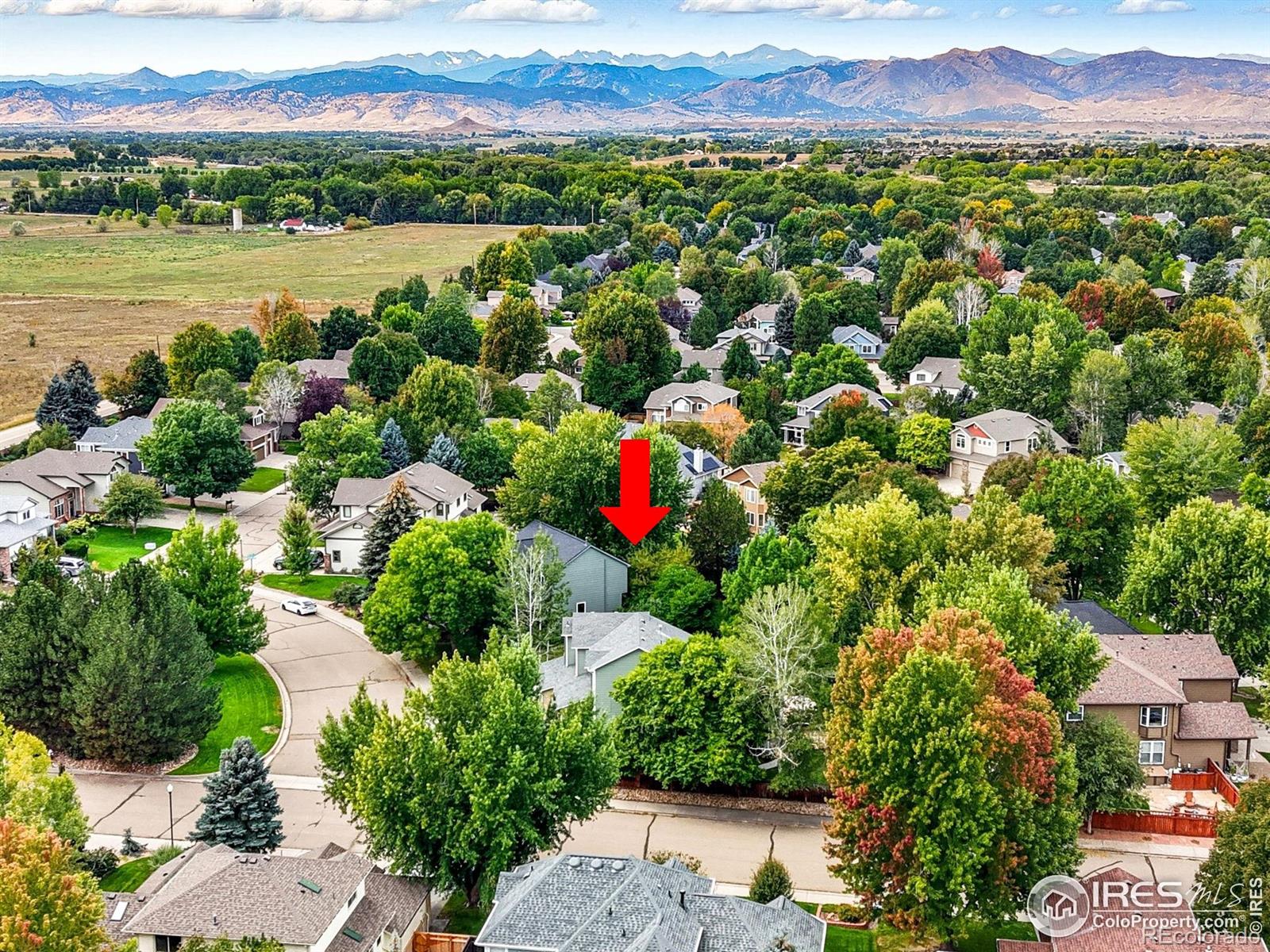 MLS Image #42 for 2237  eagleview way,longmont, Colorado