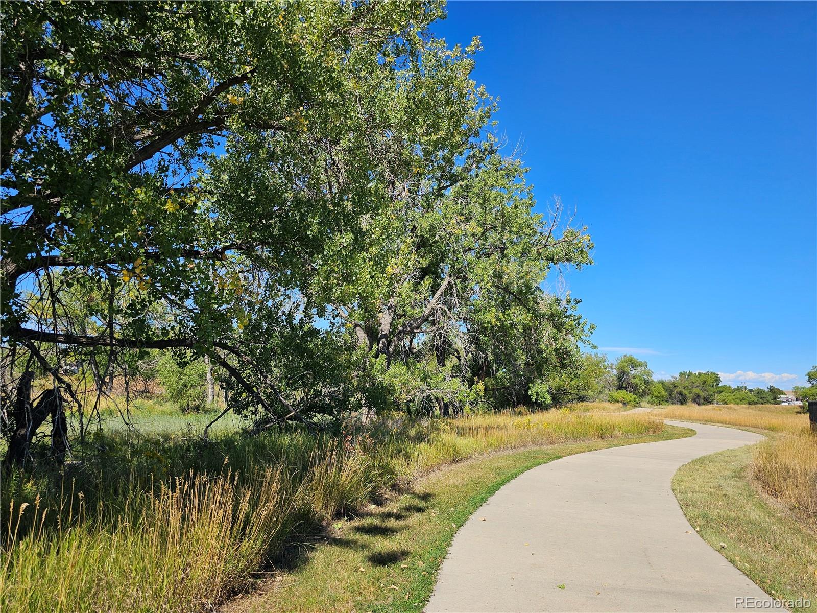MLS Image #37 for 10607  clarke farms drive,parker, Colorado