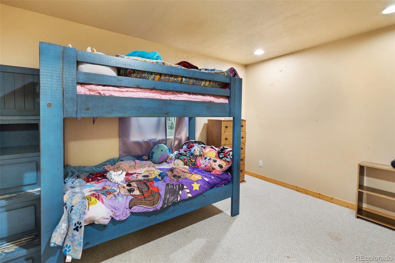 MLS Image #16 for 50  worley road,divide, Colorado