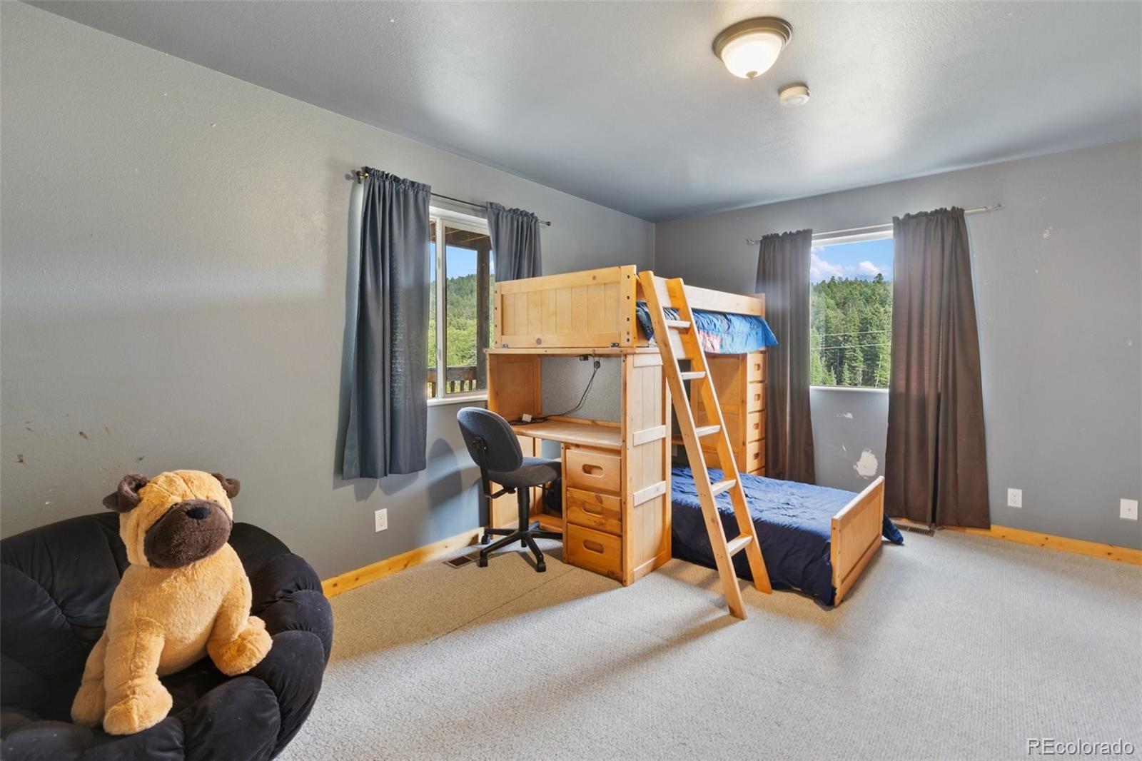 MLS Image #18 for 50  worley road,divide, Colorado