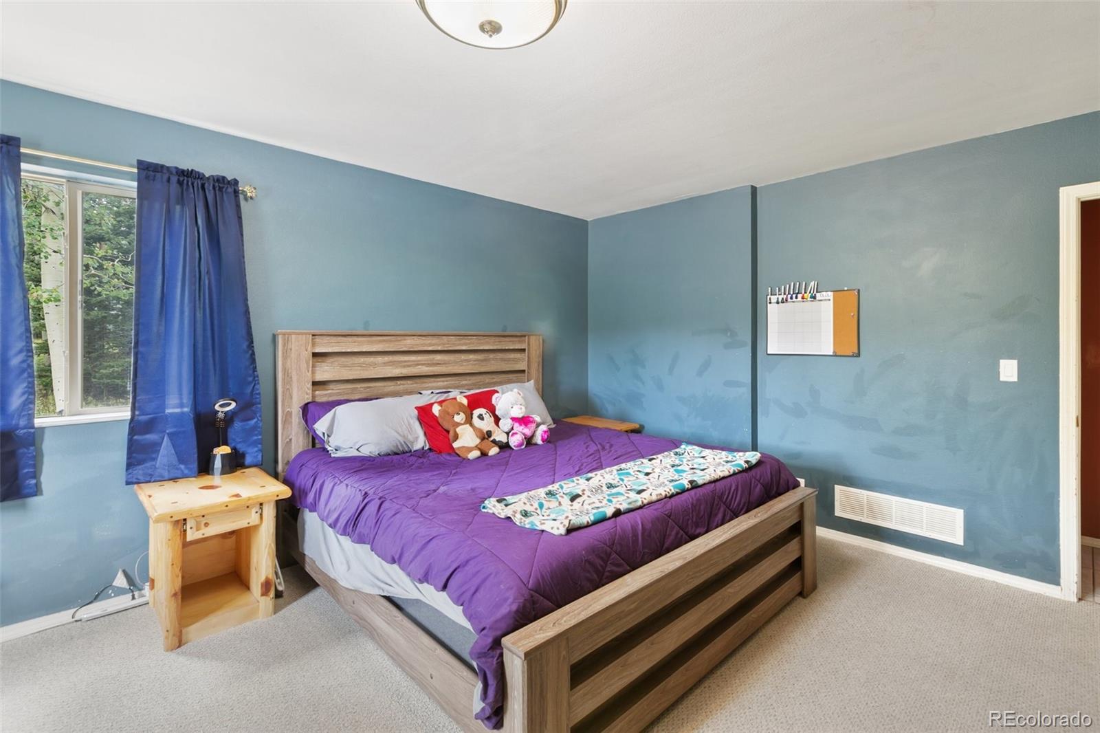 MLS Image #19 for 50  worley road,divide, Colorado