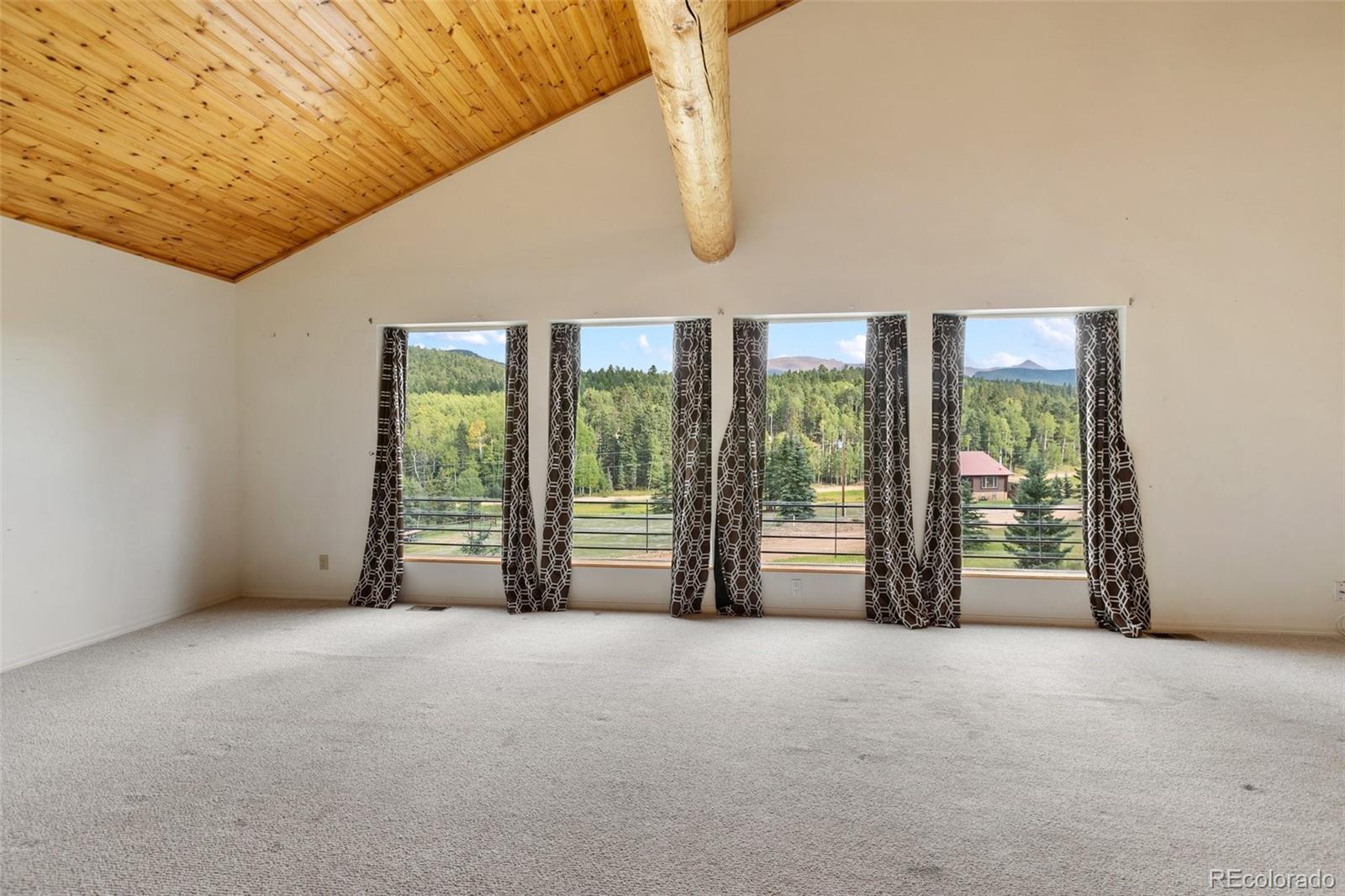 MLS Image #25 for 50  worley road,divide, Colorado