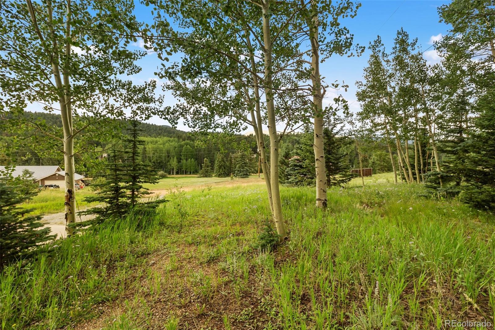 MLS Image #31 for 50  worley road,divide, Colorado