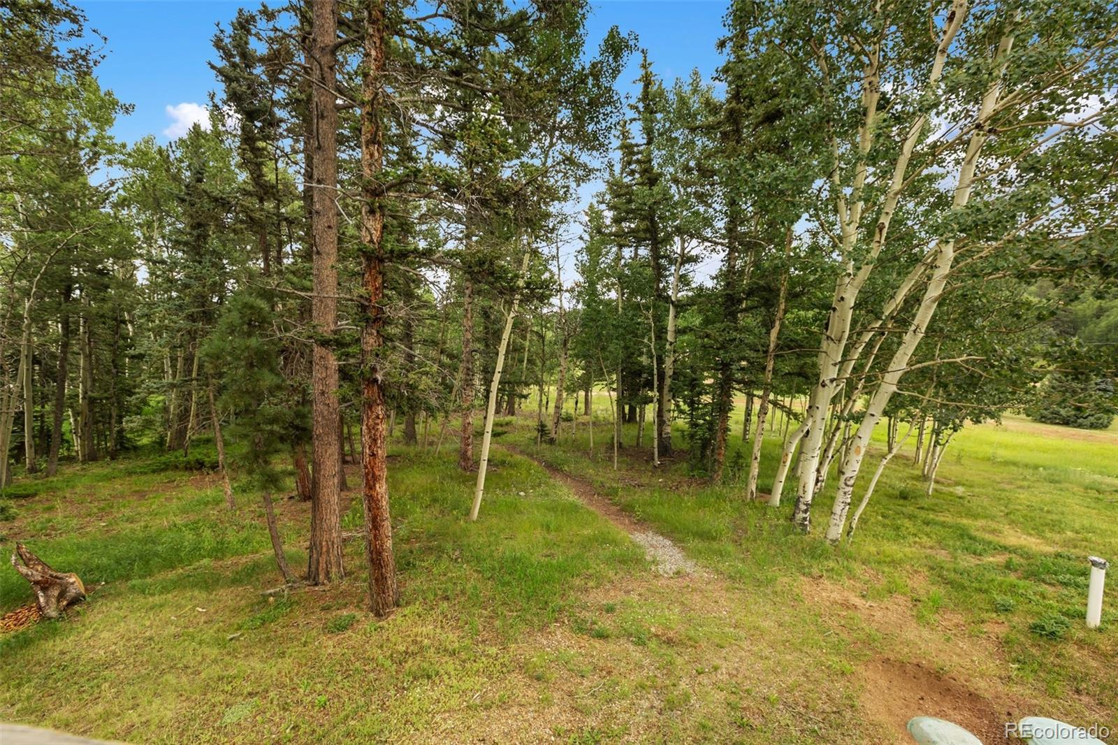 MLS Image #32 for 50  worley road,divide, Colorado