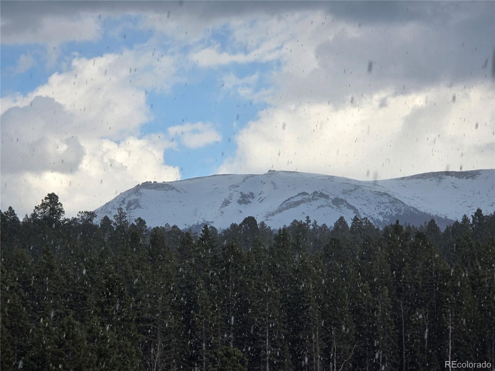 MLS Image #35 for 50  worley road,divide, Colorado