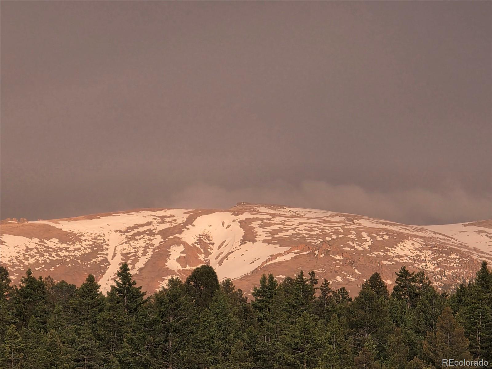 MLS Image #38 for 50  worley road,divide, Colorado