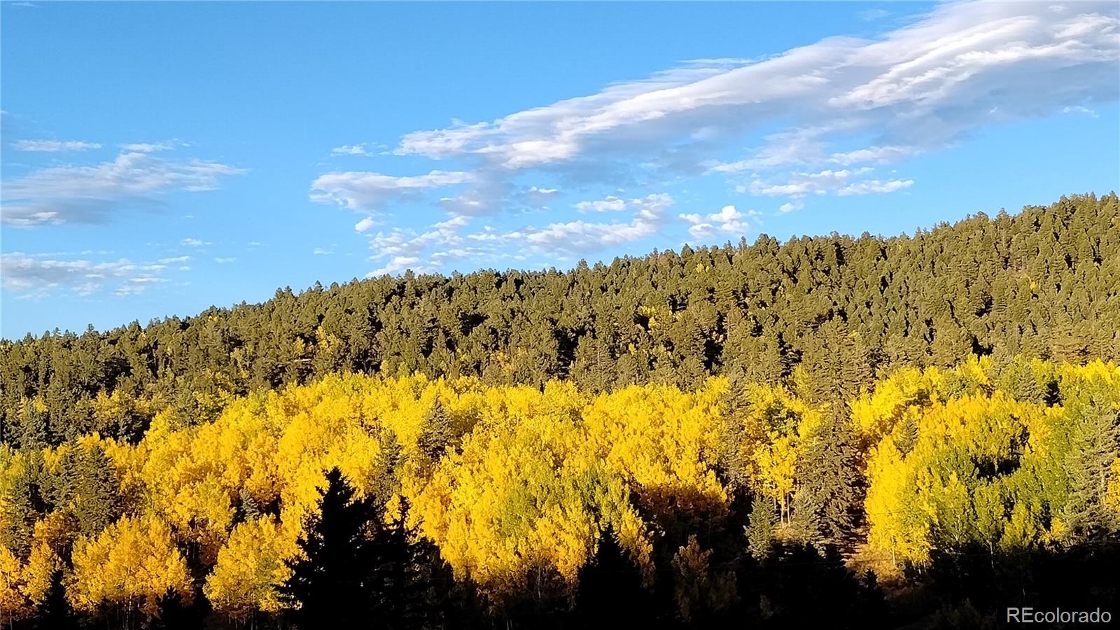 MLS Image #40 for 50  worley road,divide, Colorado