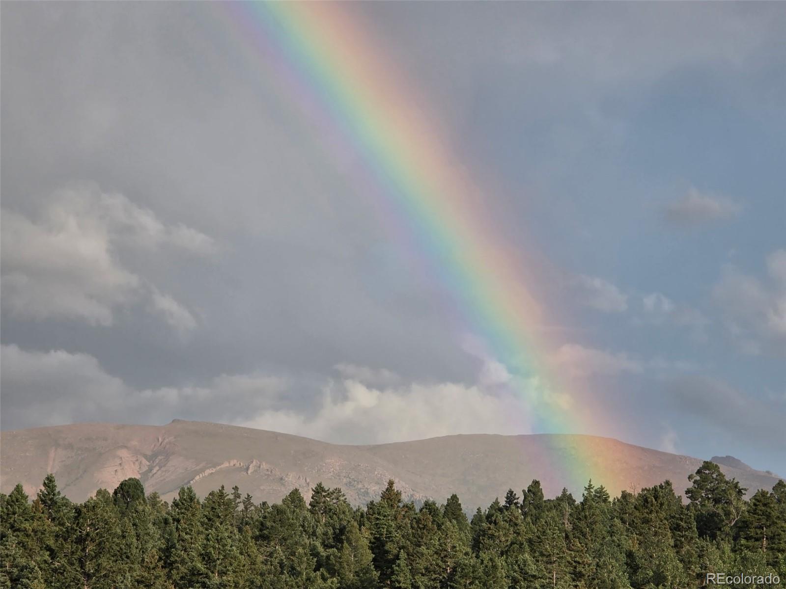 MLS Image #43 for 50  worley road,divide, Colorado