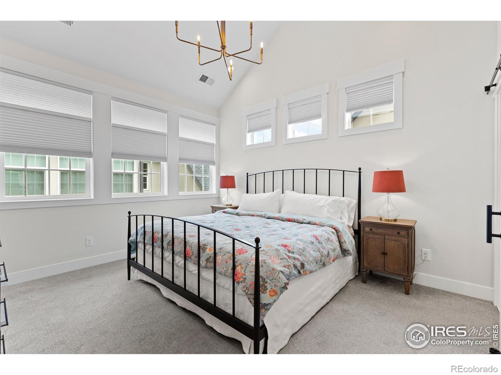 MLS Image #12 for 5223  allison way,arvada, Colorado