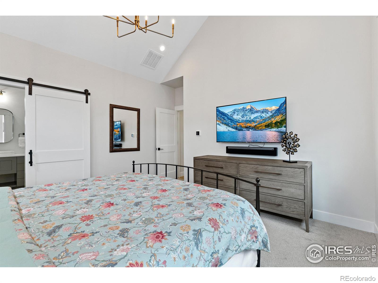 MLS Image #13 for 5223  allison way,arvada, Colorado