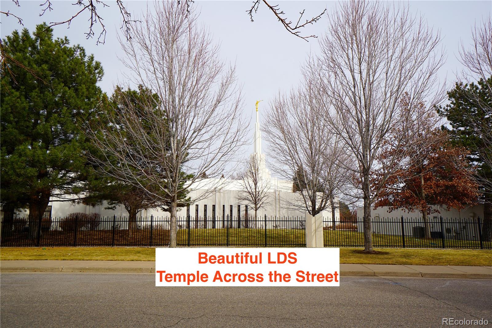 MLS Image #10 for 8201 s high court ,centennial, Colorado