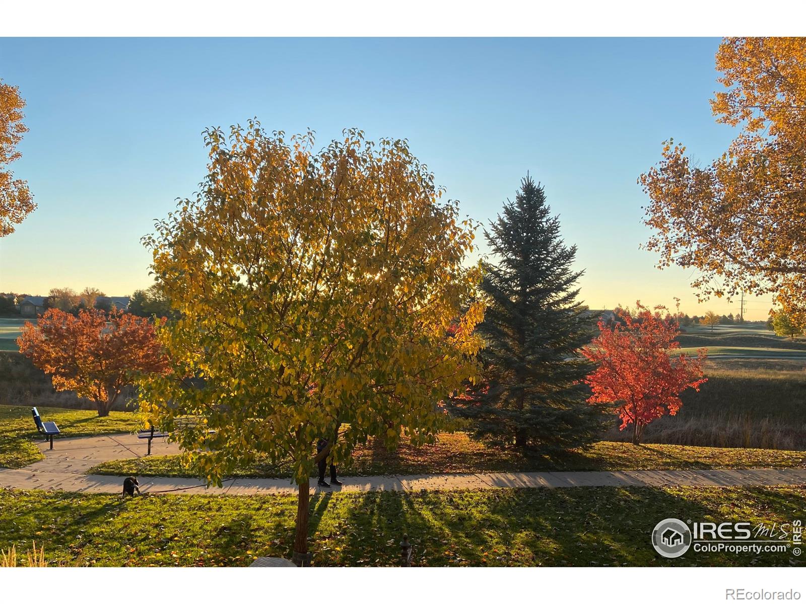 MLS Image #36 for 2324  calais drive,longmont, Colorado