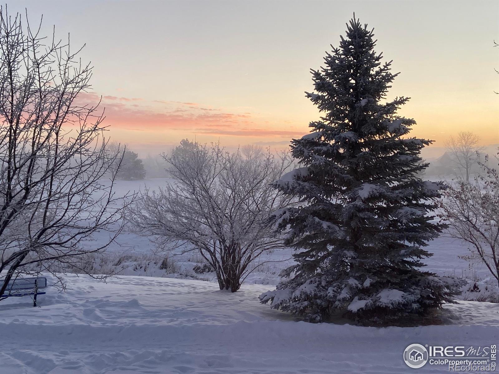 MLS Image #37 for 2324  calais drive,longmont, Colorado