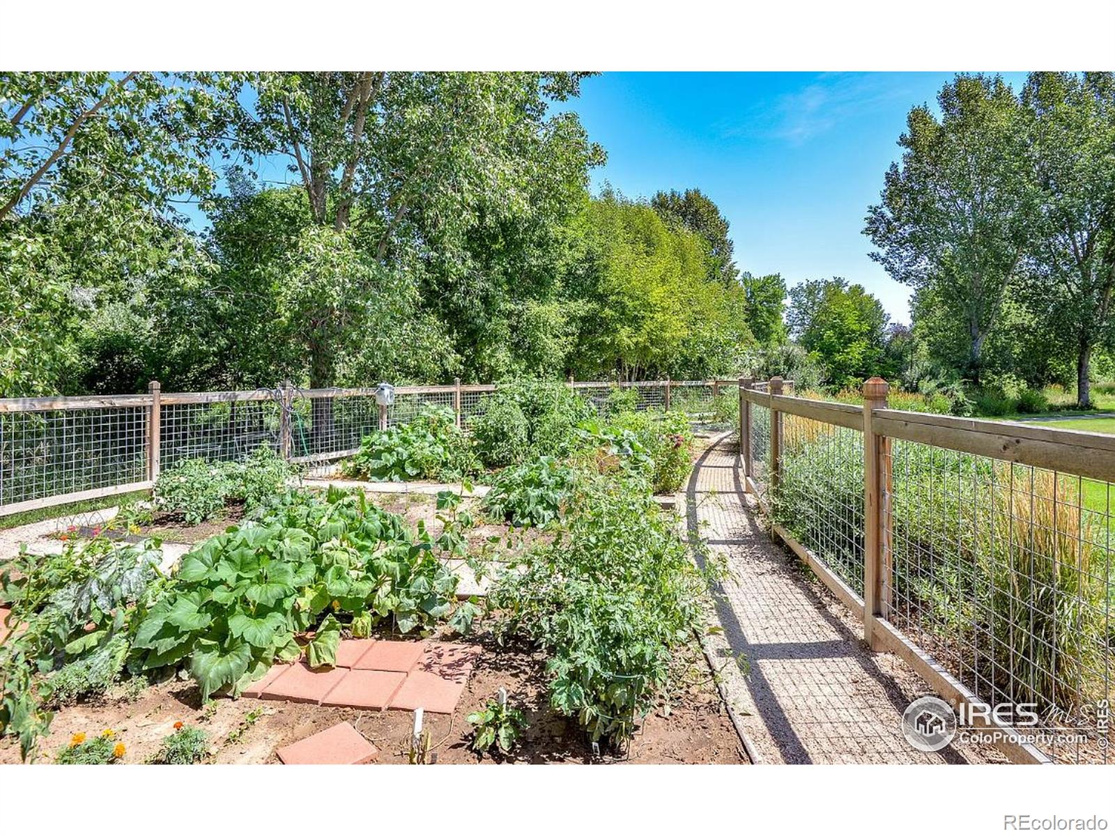 MLS Image #31 for 2608  paddington road,fort collins, Colorado