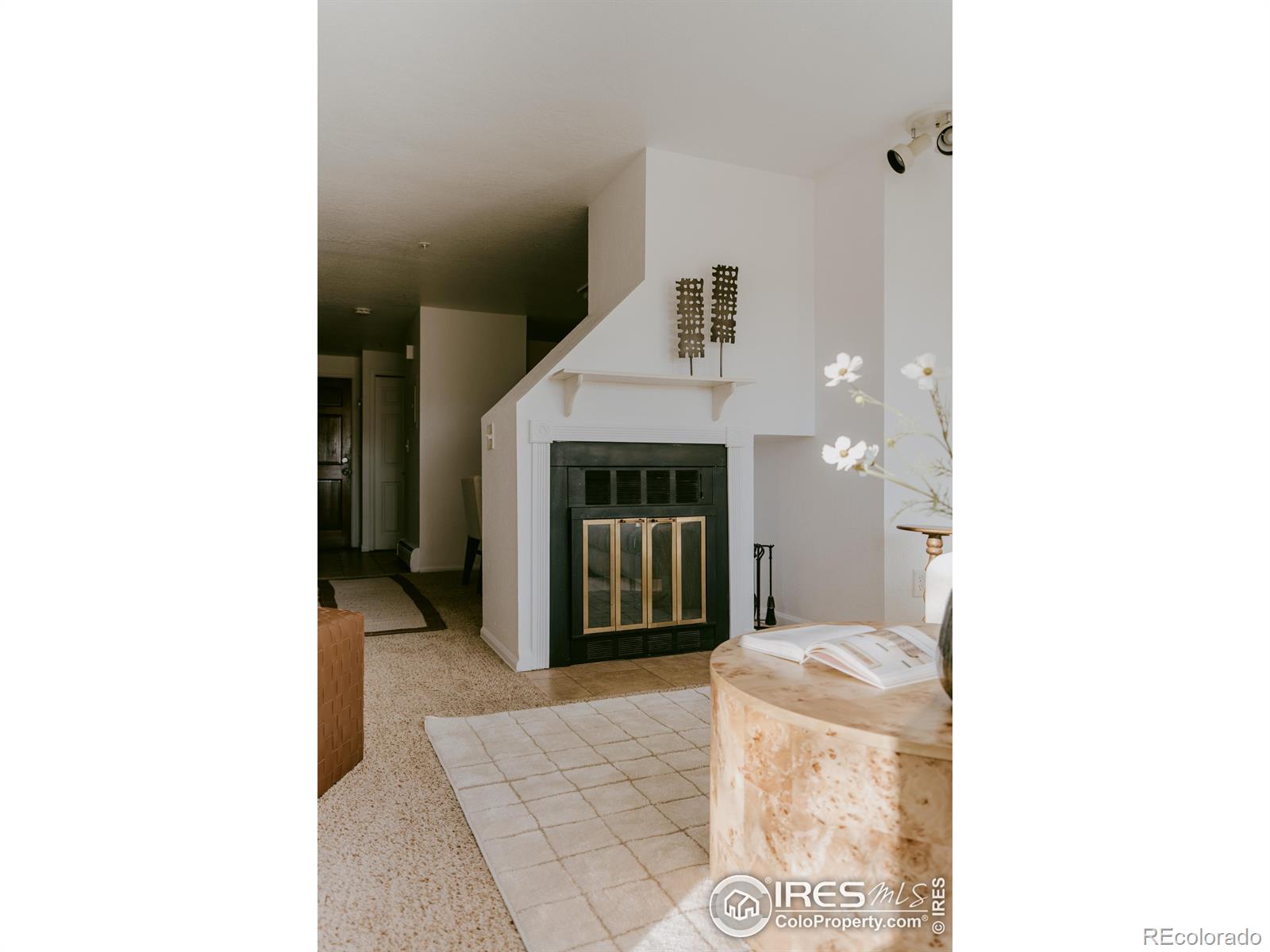 MLS Image #10 for 2201  pearl street,boulder, Colorado