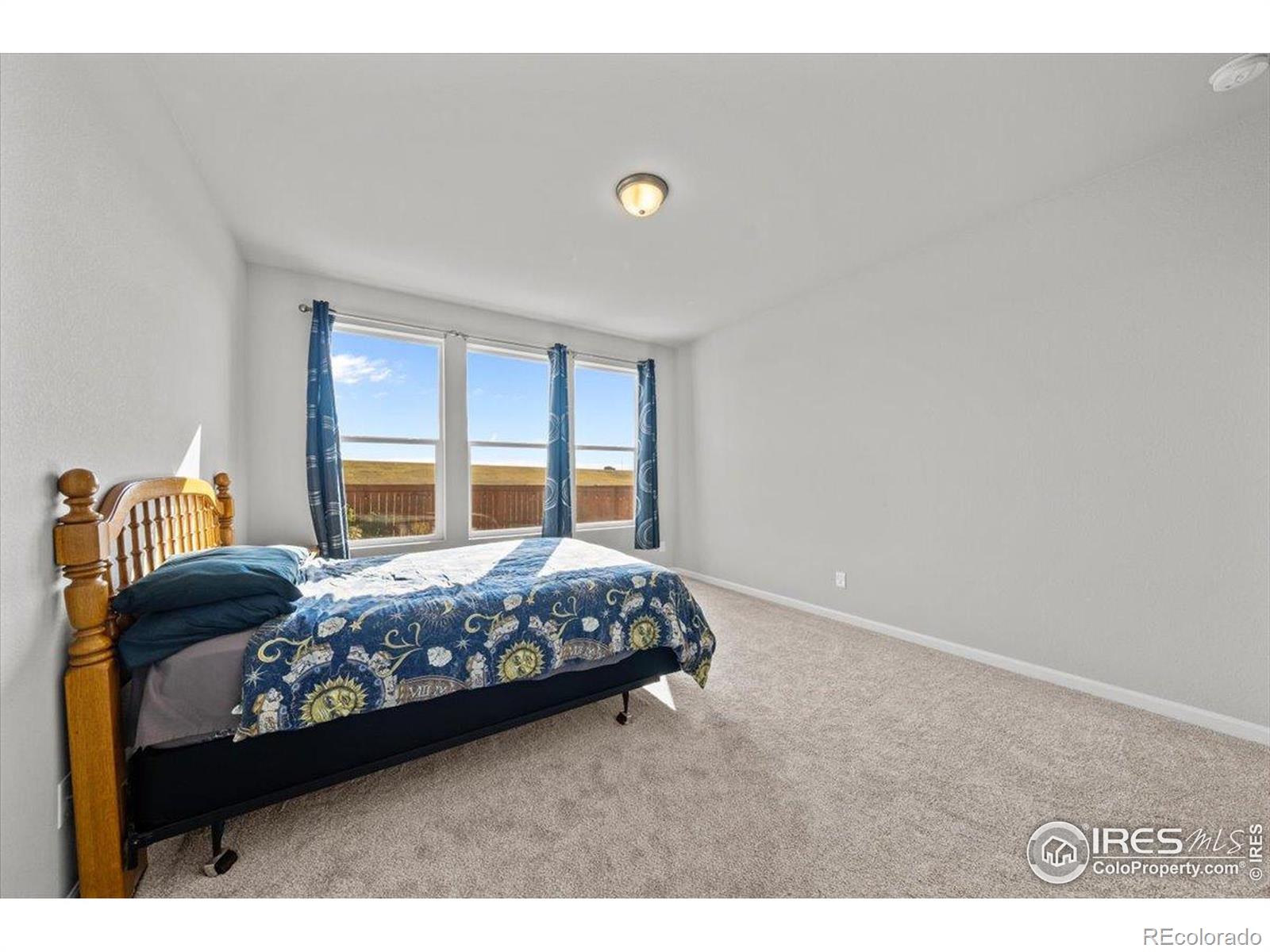 MLS Image #11 for 513  grand market avenue,berthoud, Colorado