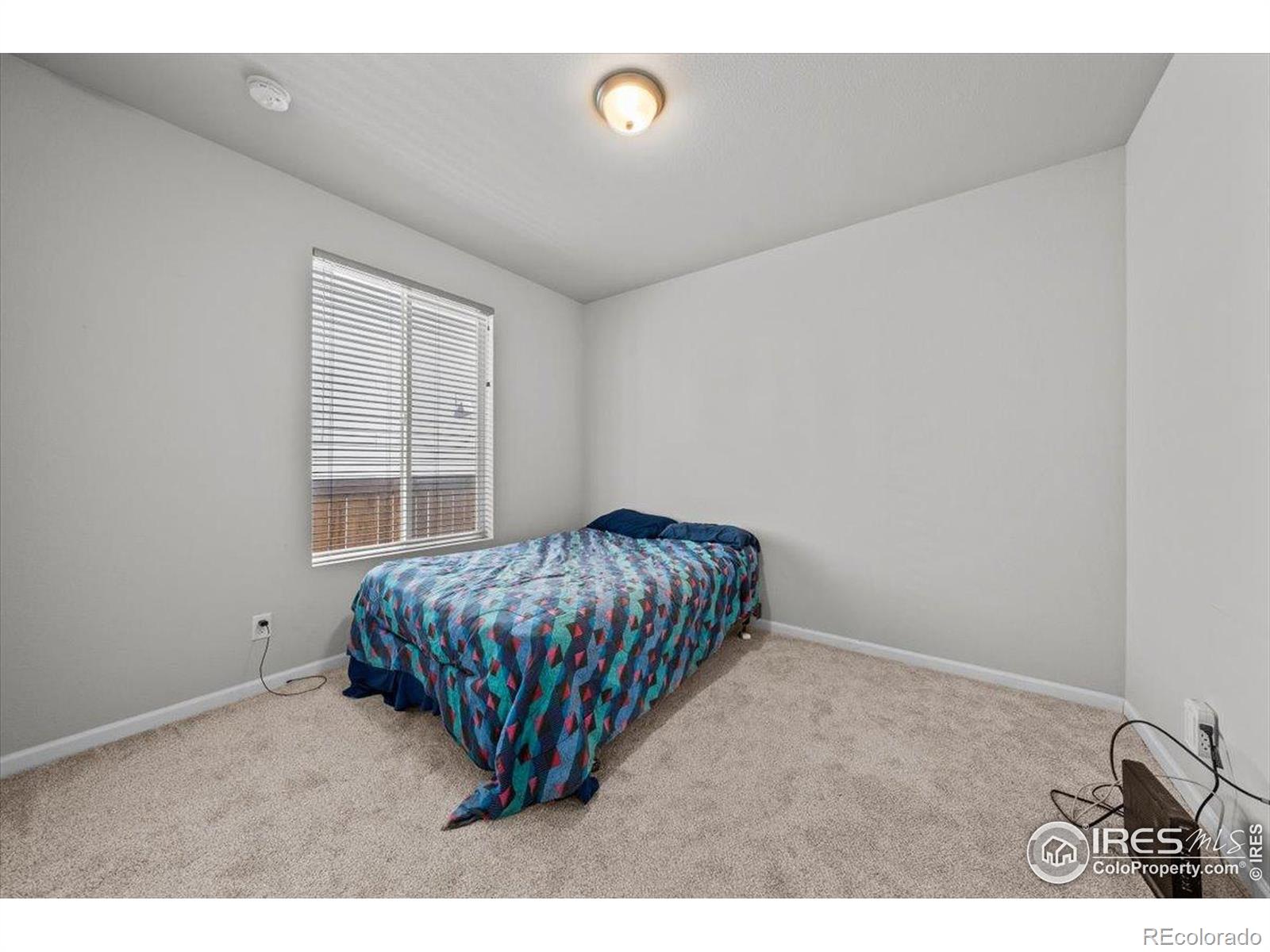 MLS Image #16 for 513  grand market avenue,berthoud, Colorado