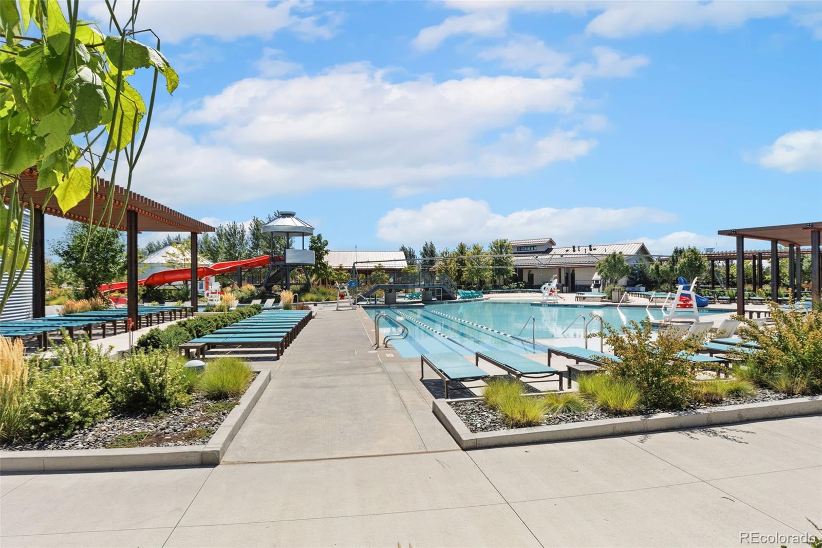 MLS Image #4 for 1851  equinox drive,windsor, Colorado