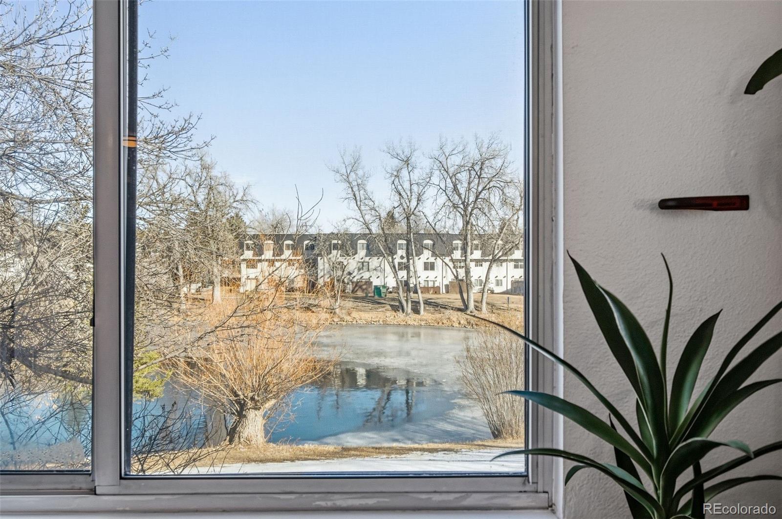 MLS Image #11 for 467 e highline circle,centennial, Colorado