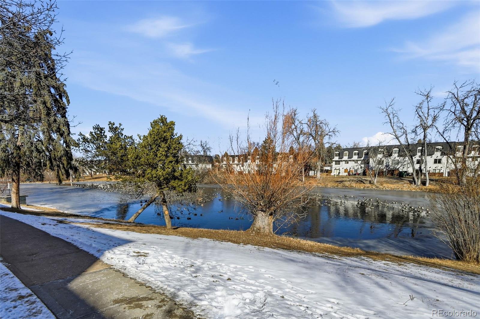 MLS Image #4 for 467 e highline circle,centennial, Colorado