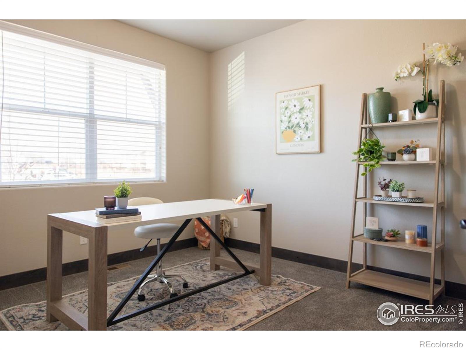MLS Image #22 for 2009  reliance drive,windsor, Colorado