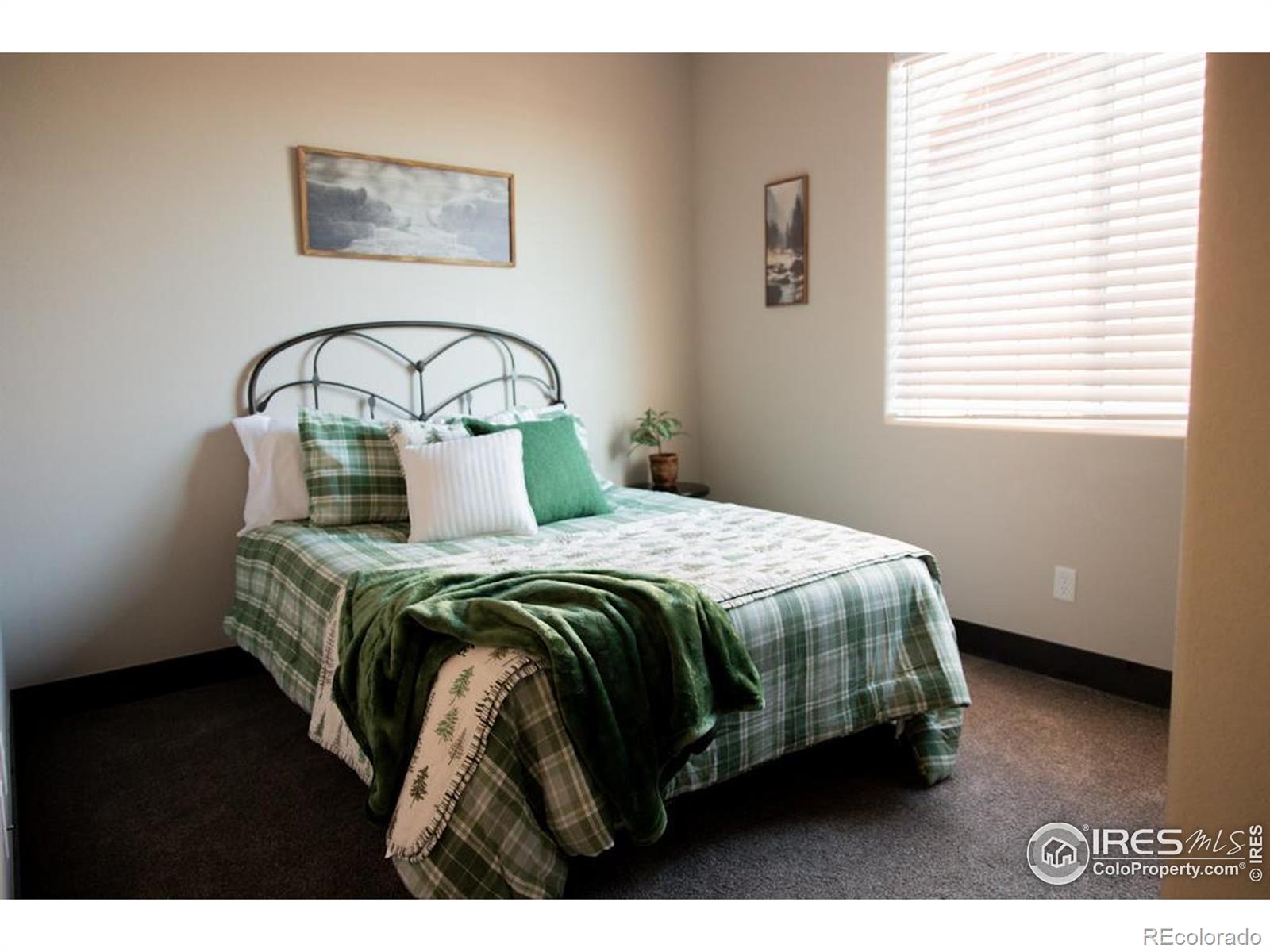MLS Image #28 for 2009  reliance drive,windsor, Colorado