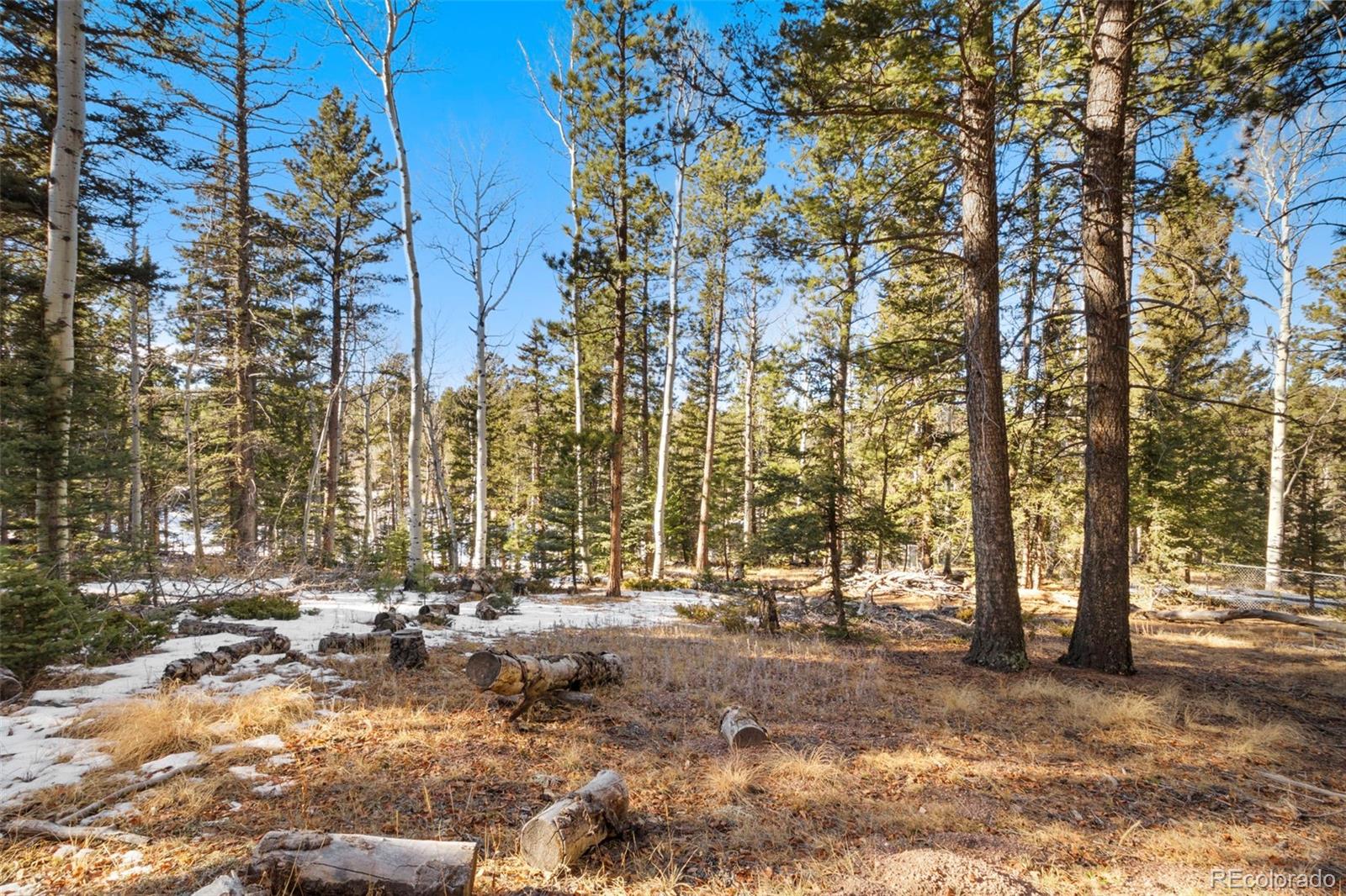 MLS Image #27 for 219  pennsylvania avenue,woodland park, Colorado
