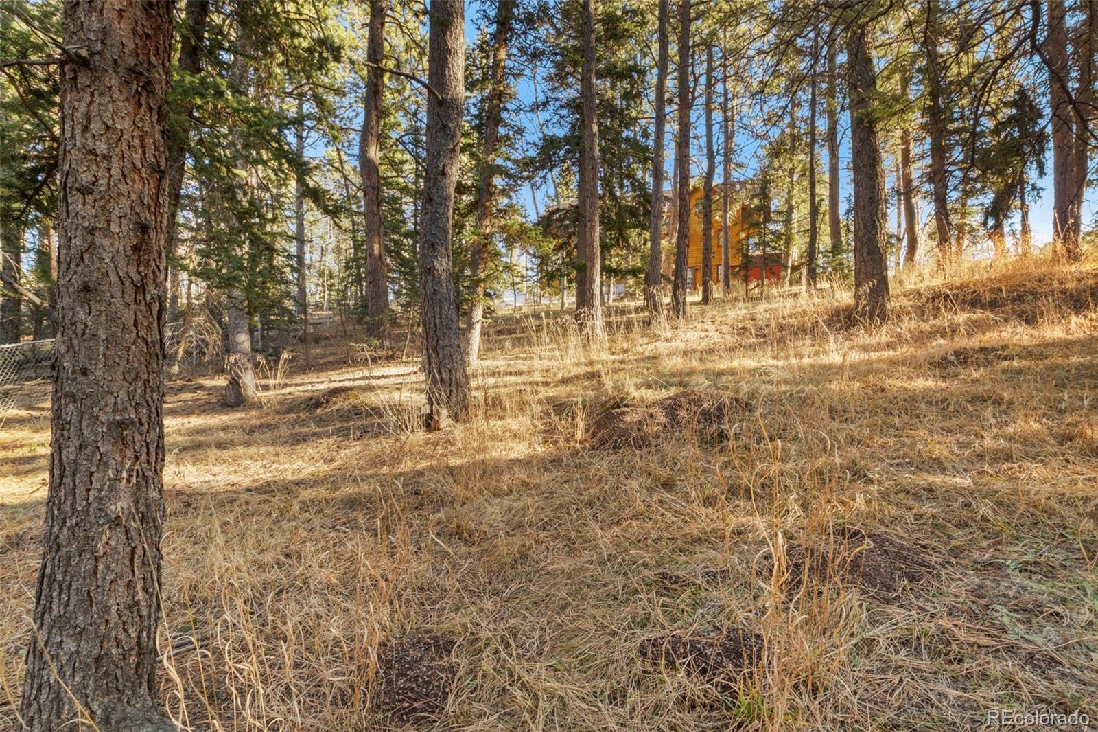 MLS Image #28 for 219  pennsylvania avenue,woodland park, Colorado