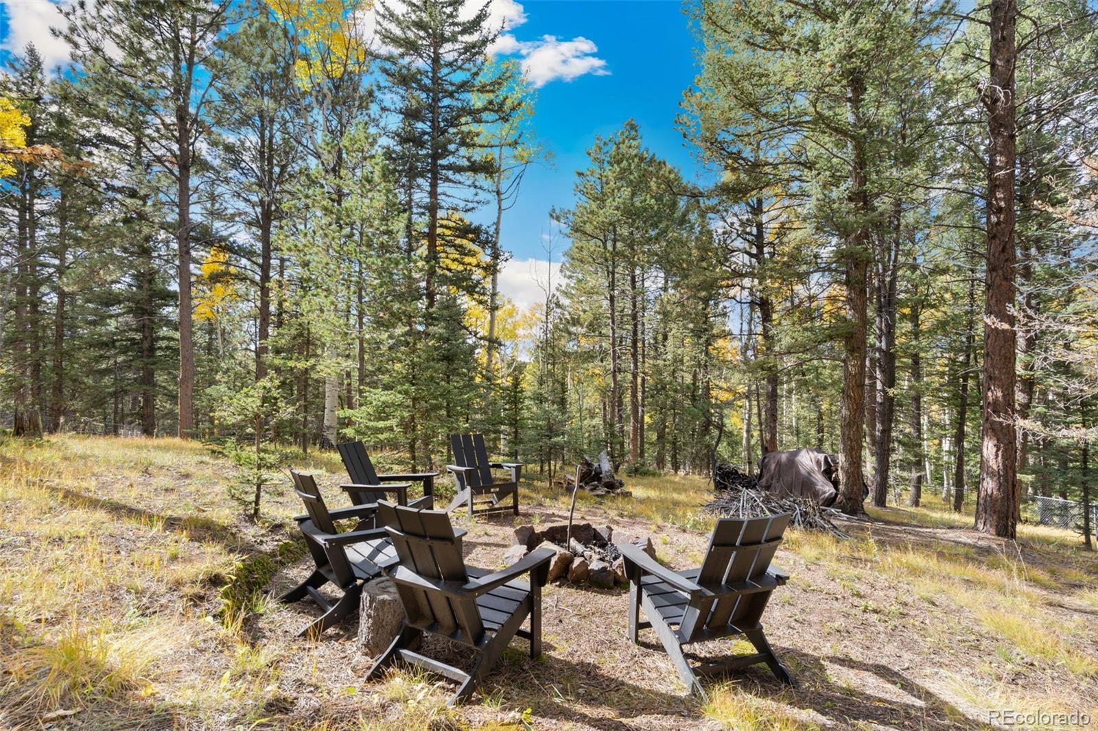 MLS Image #34 for 219  pennsylvania avenue,woodland park, Colorado