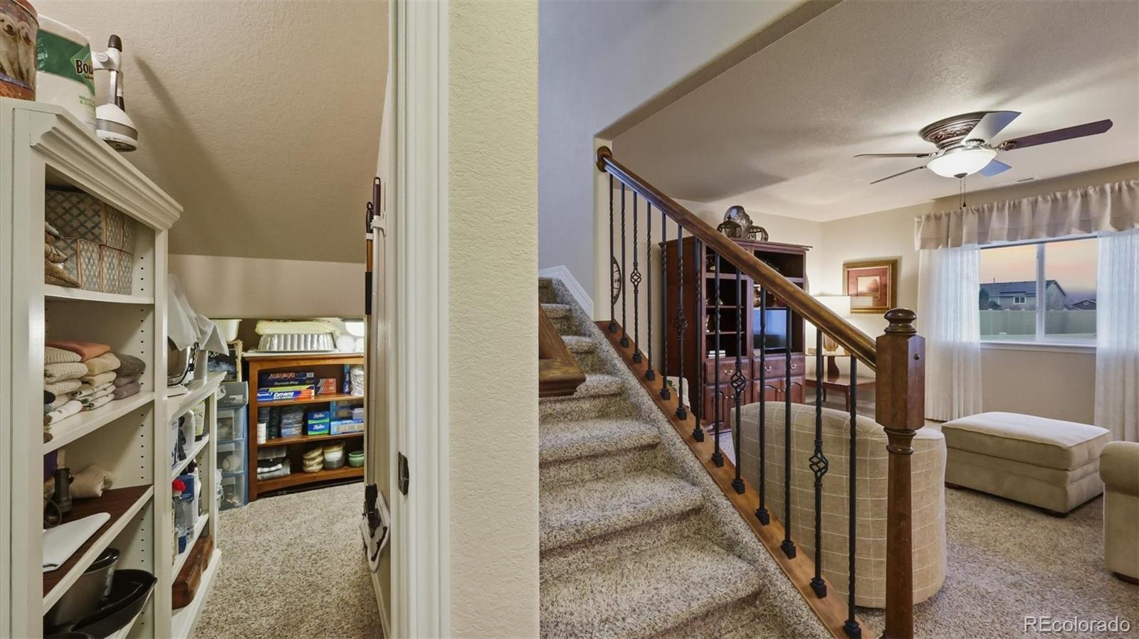 MLS Image #21 for 8502  admiral way,colorado springs, Colorado