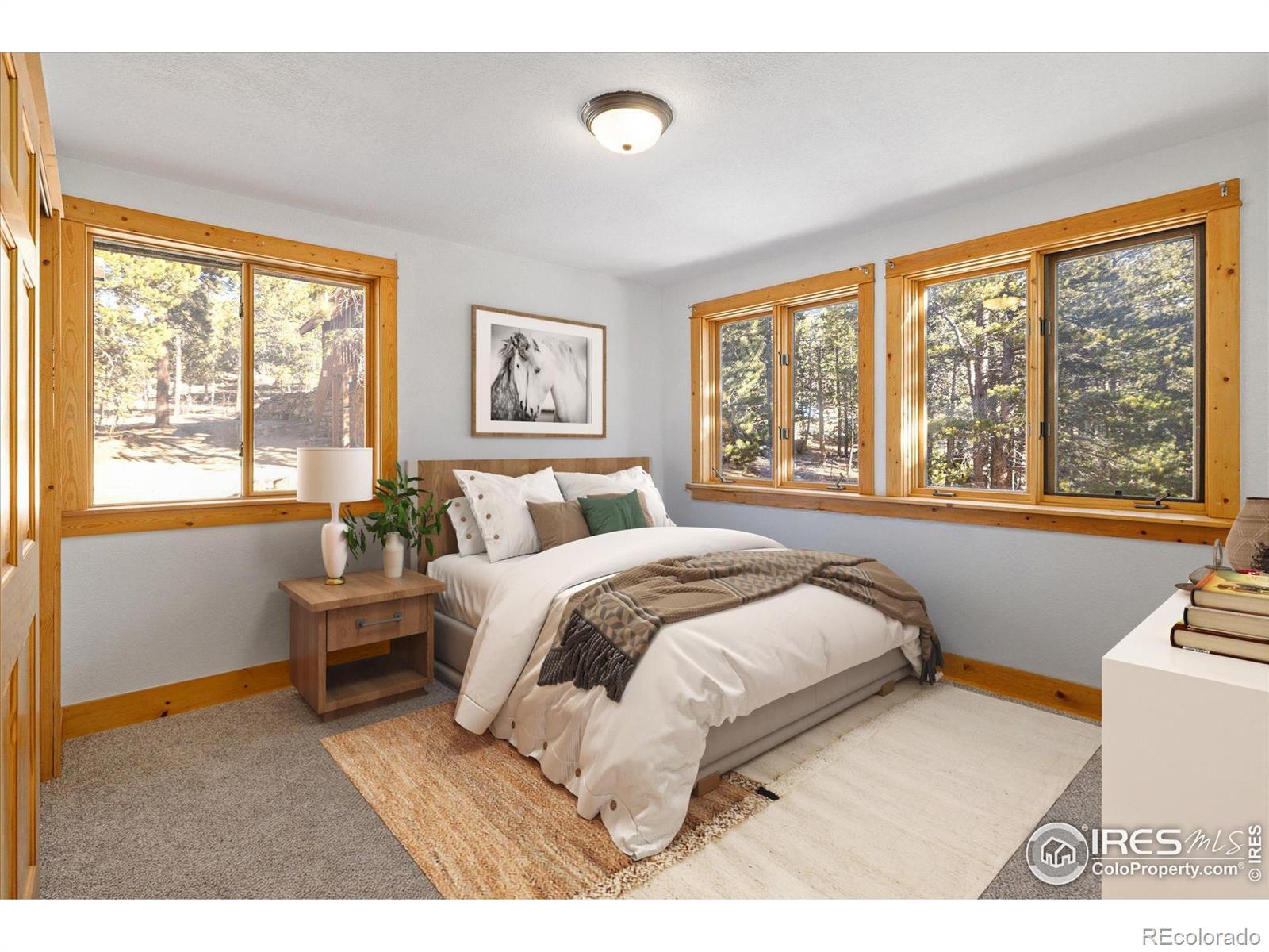 MLS Image #15 for 246  rudi lane,golden, Colorado