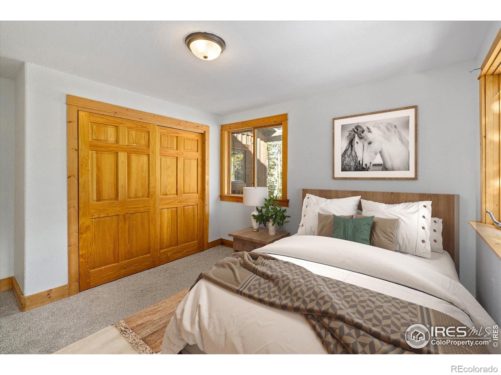 MLS Image #16 for 246  rudi lane,golden, Colorado