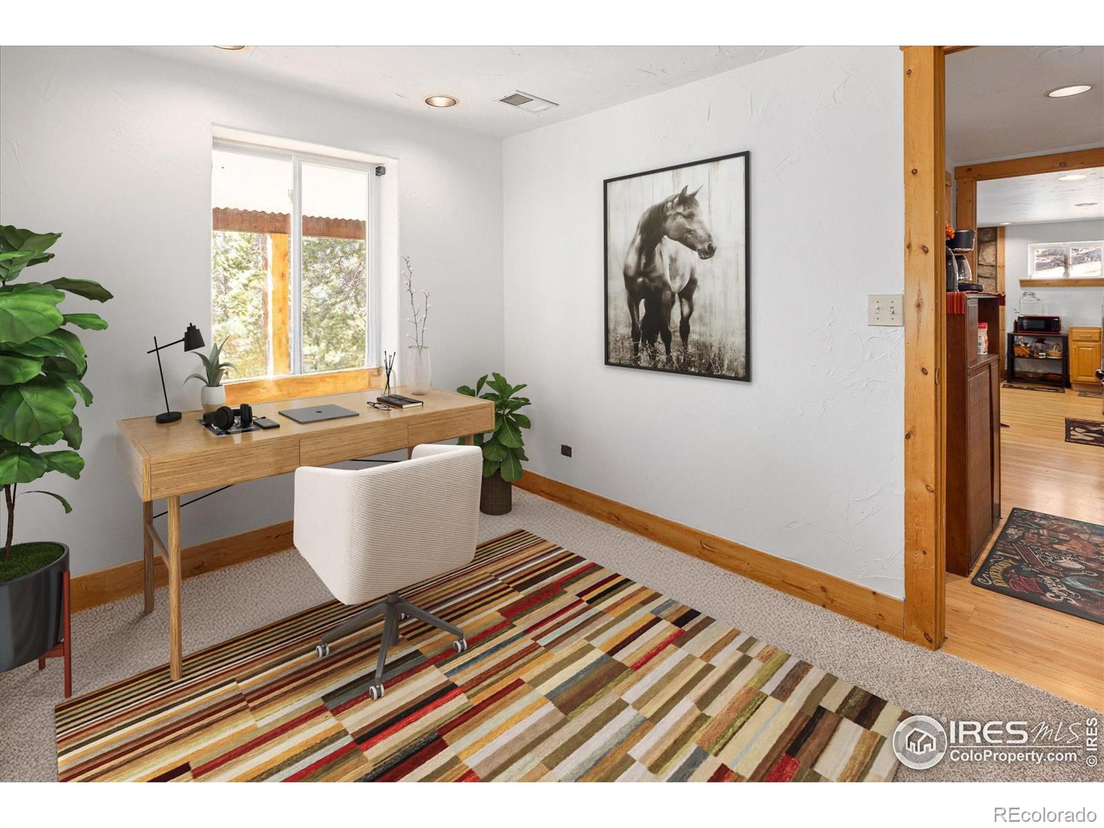 MLS Image #26 for 246  rudi lane,golden, Colorado