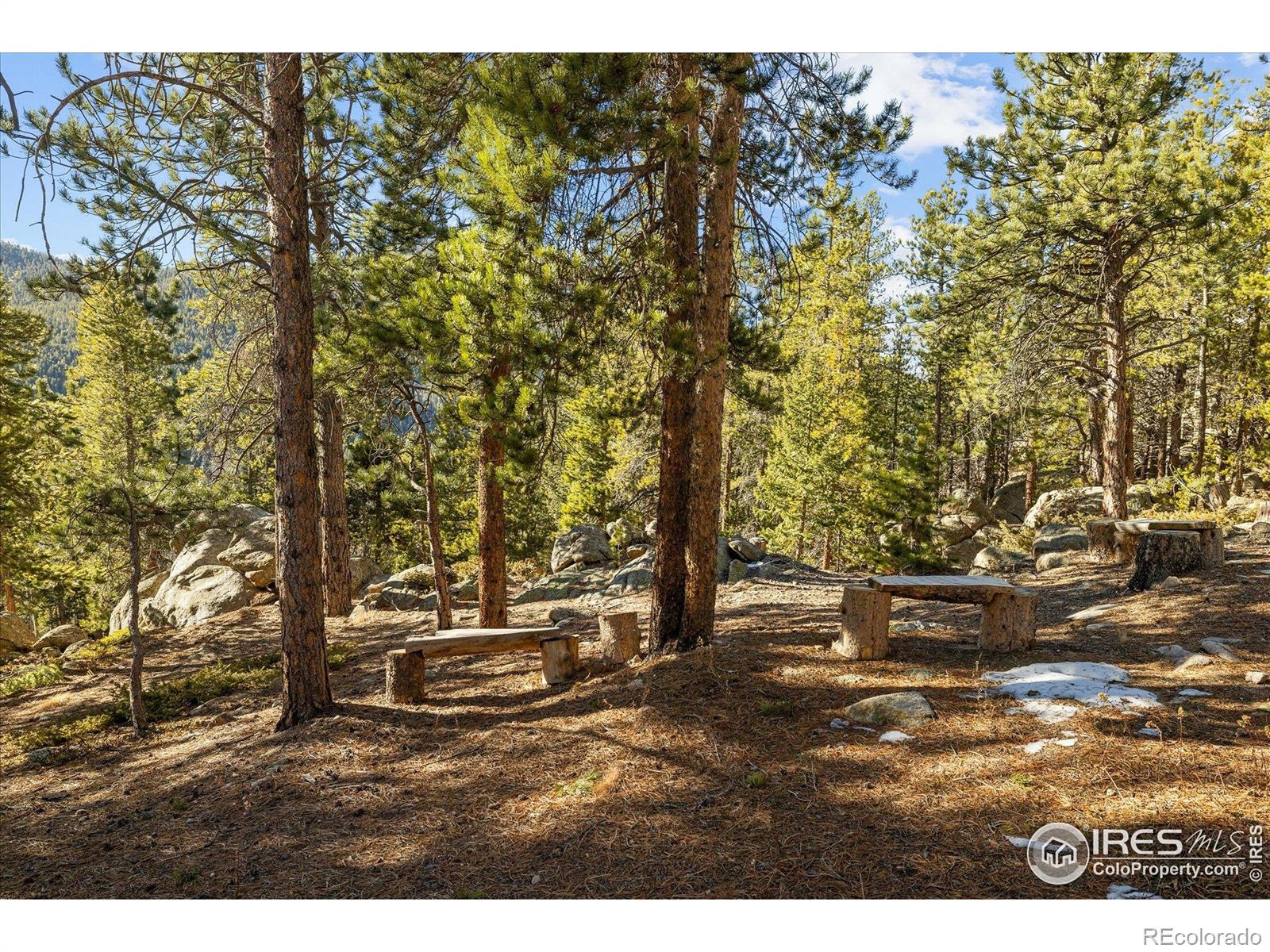 MLS Image #39 for 246  rudi lane,golden, Colorado