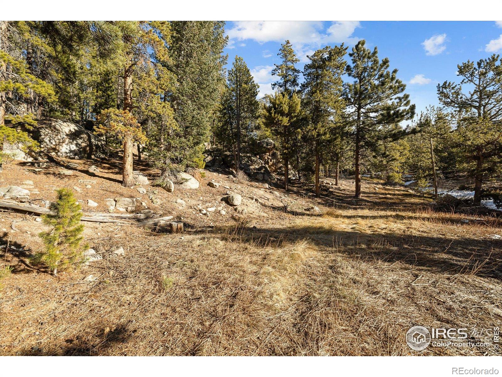 MLS Image #40 for 246  rudi lane,golden, Colorado