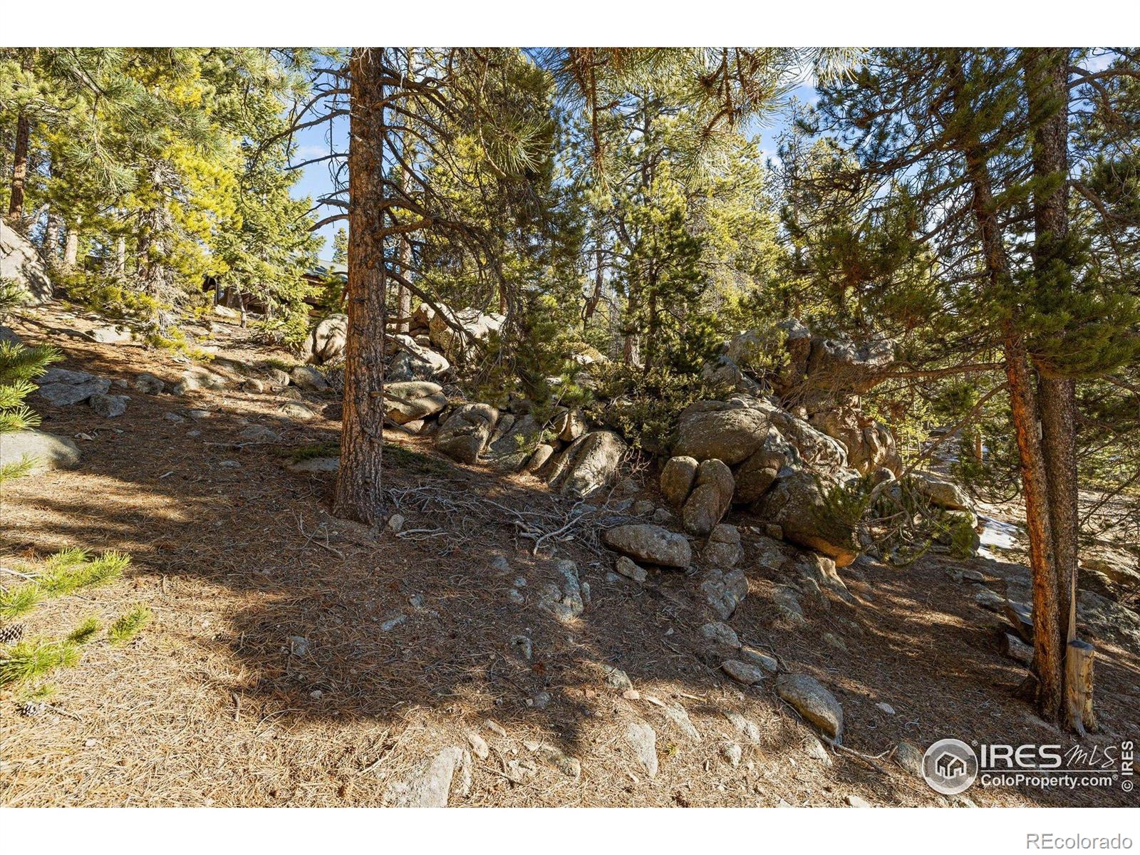 MLS Image #41 for 246  rudi lane,golden, Colorado