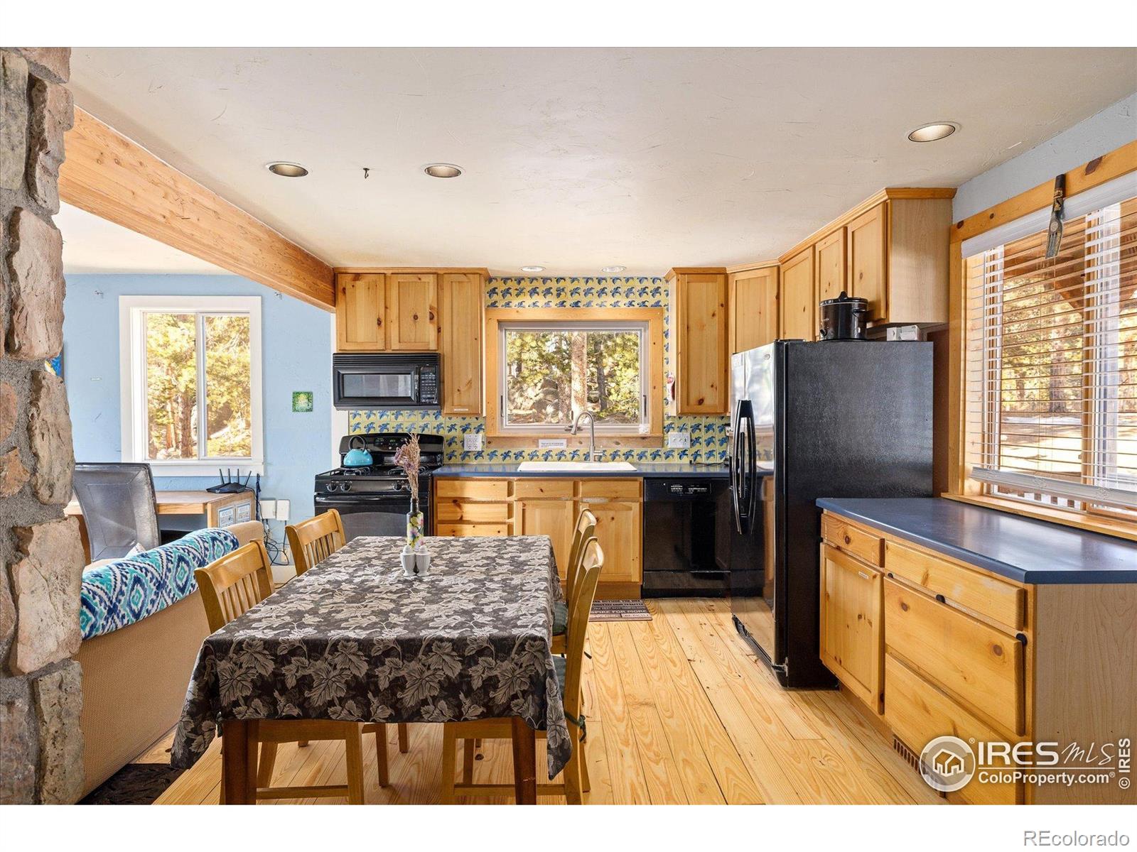 MLS Image #9 for 246  rudi lane,golden, Colorado