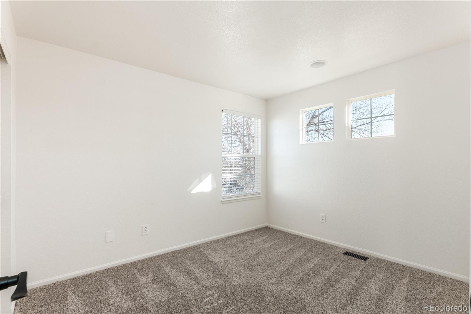 MLS Image #23 for 5807  cheetah chase ,lone tree, Colorado