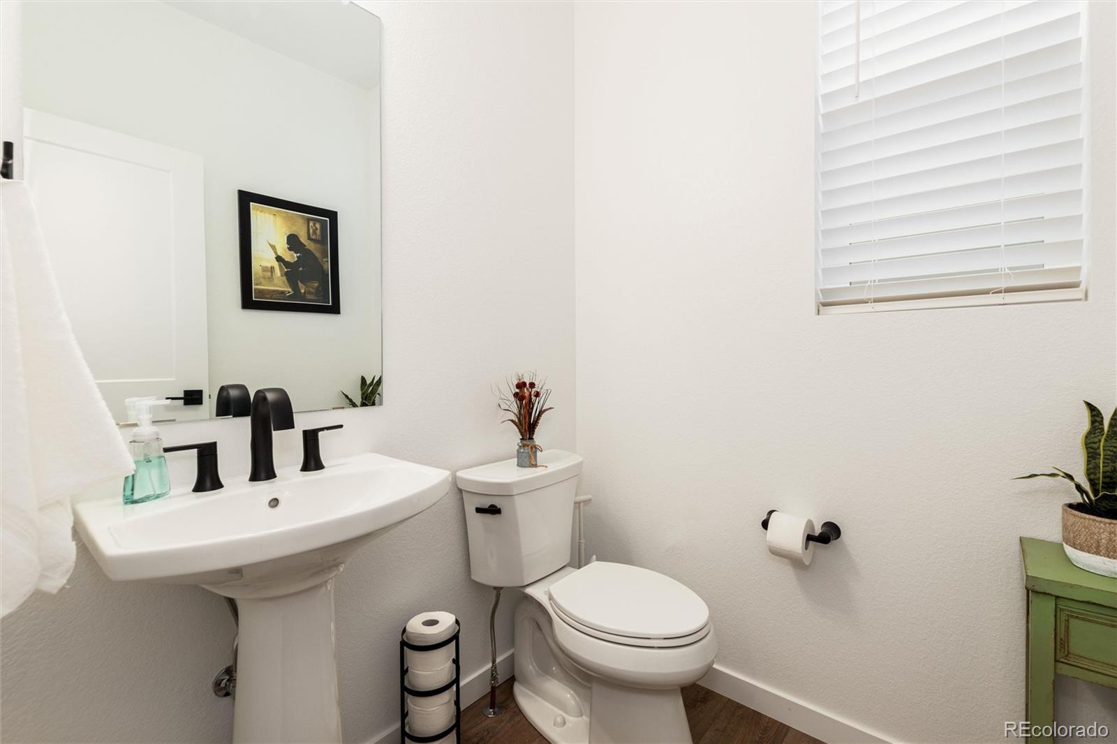 MLS Image #19 for 8791  moonshimmer trail,littleton, Colorado