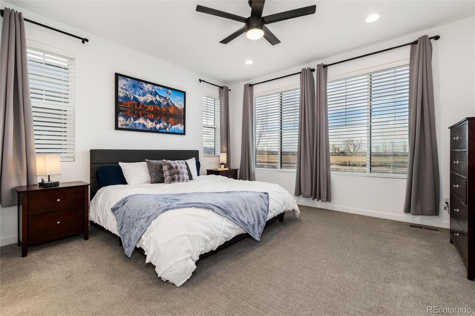 MLS Image #22 for 8791  moonshimmer trail,littleton, Colorado