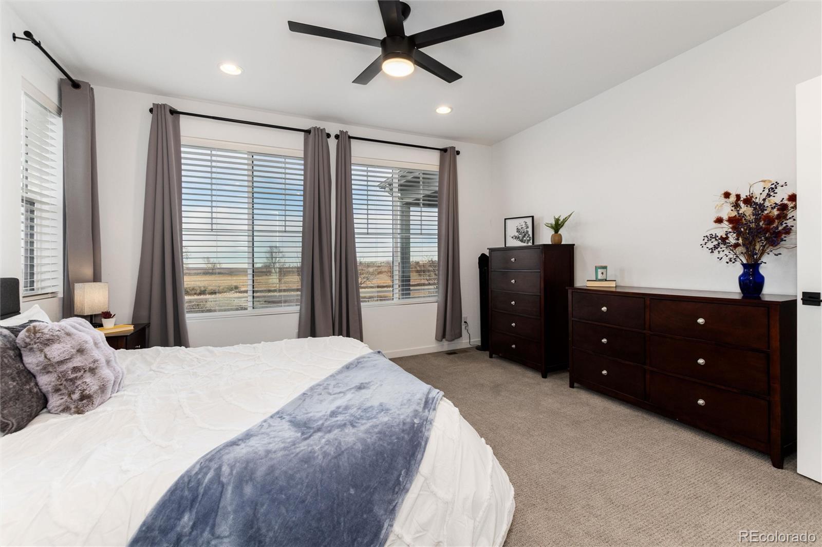 MLS Image #23 for 8791  moonshimmer trail,littleton, Colorado