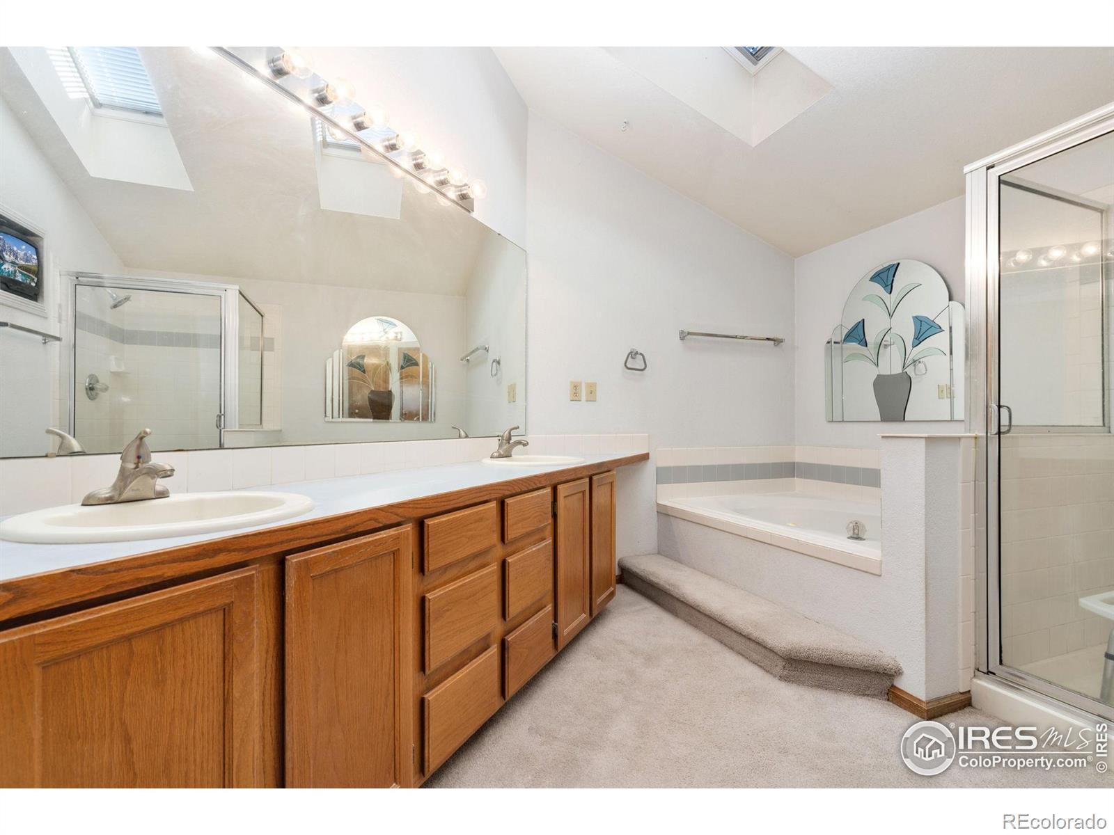 MLS Image #9 for 4010  stoneway court,fort collins, Colorado