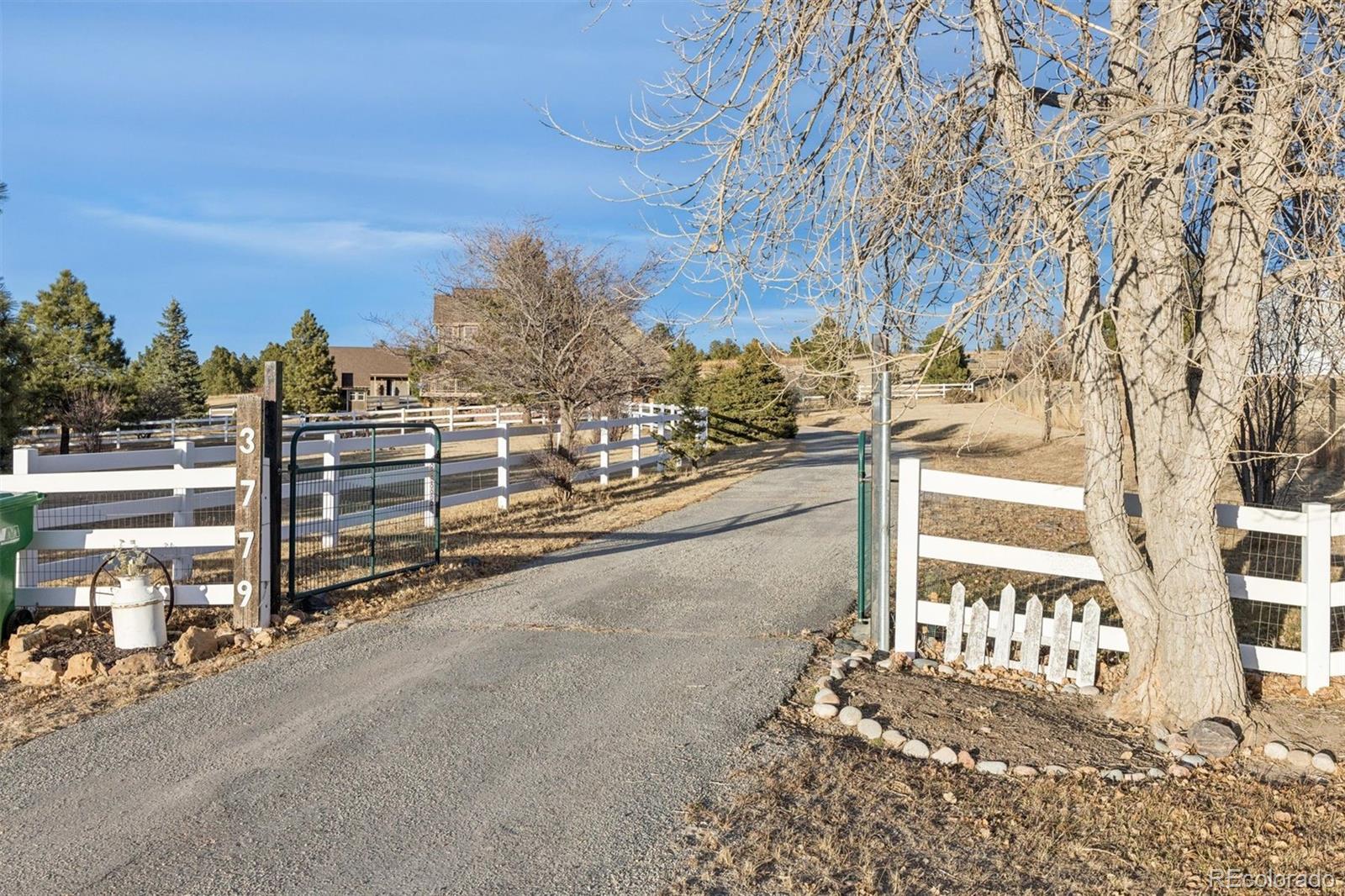 MLS Image #3 for 3779  pasture gate circle,elizabeth, Colorado