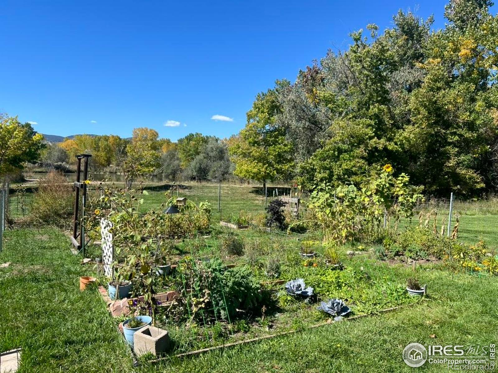 MLS Image #25 for 1705  heatheridge road,fort collins, Colorado
