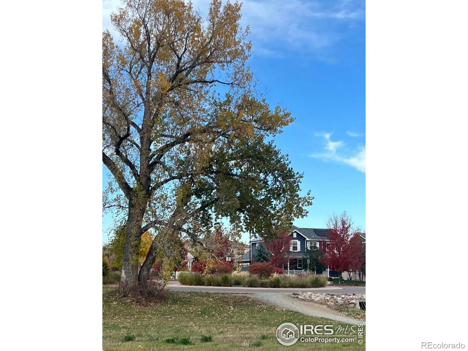 MLS Image #2 for 519  cheyenne drive,lafayette, Colorado