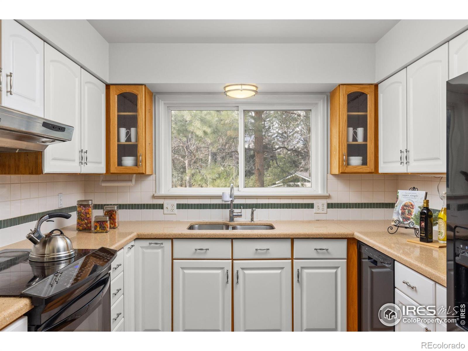 MLS Image #11 for 6174  brigadoon court,longmont, Colorado